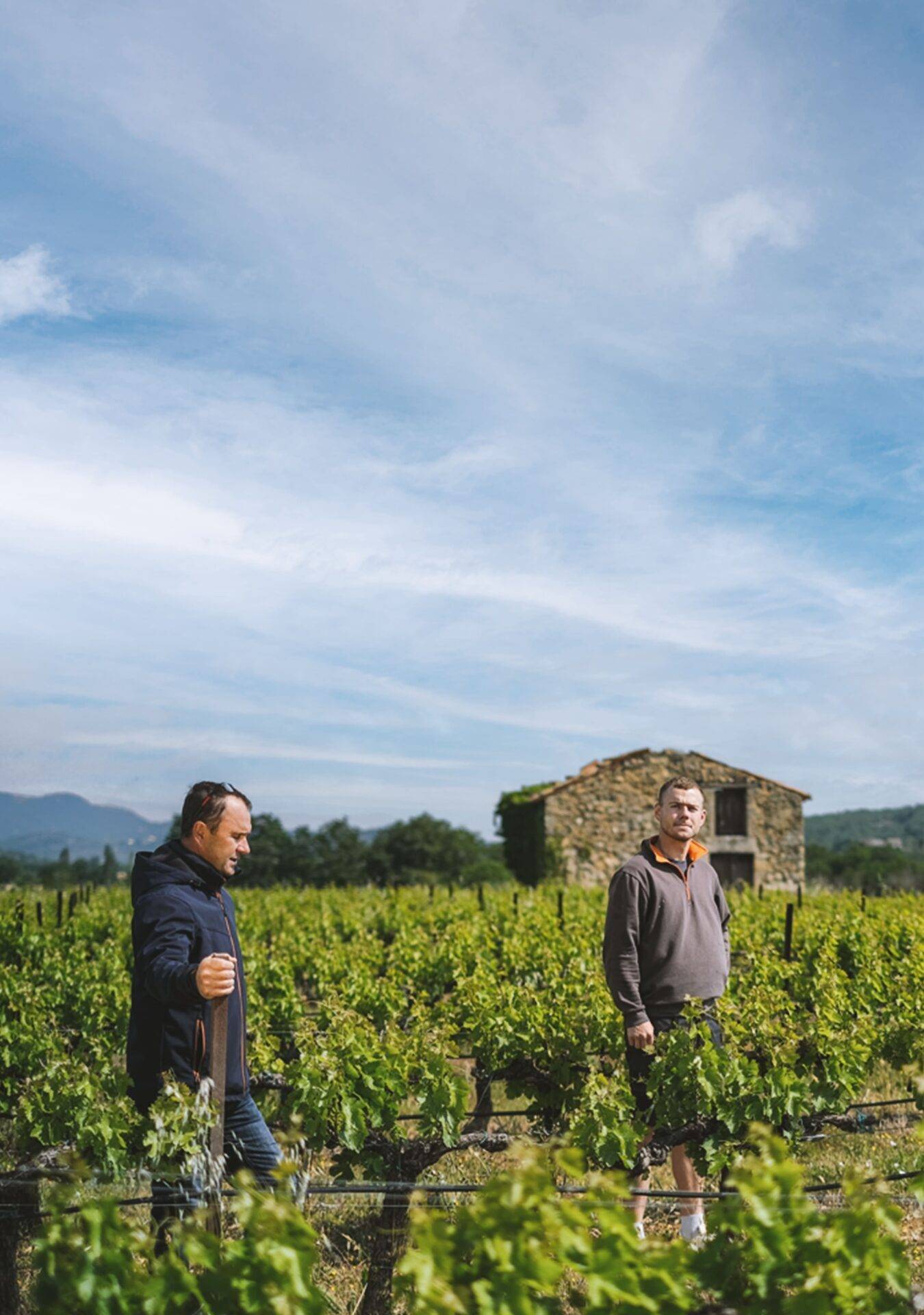 domaine audu ardeches