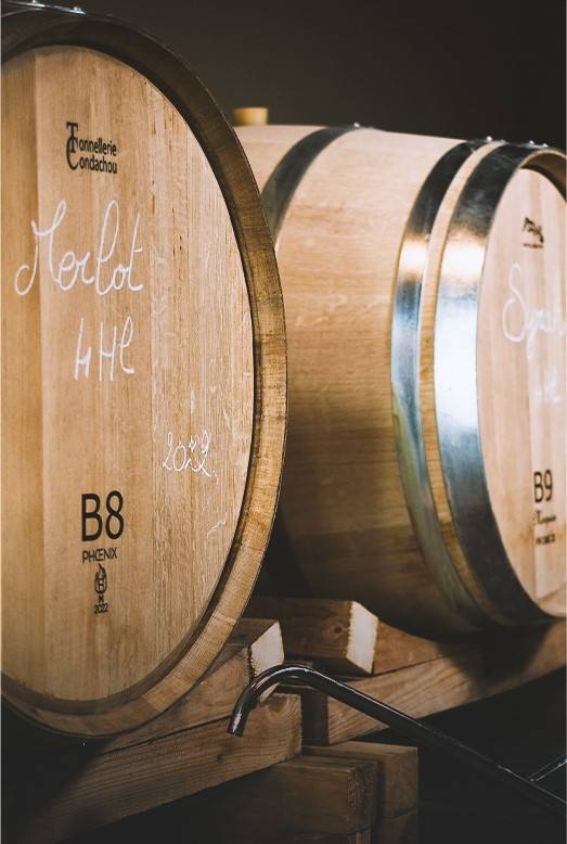 nos vins domaine audu
