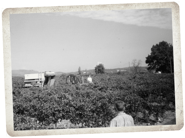 histoire domaine audu anciennes