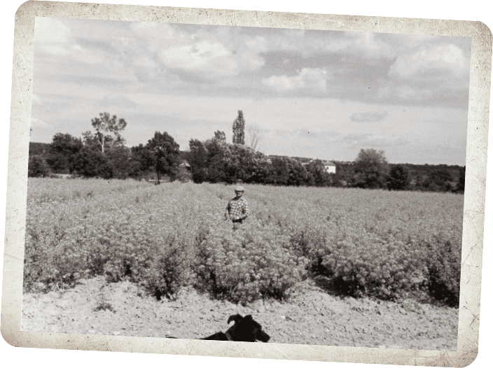 histoire domaine audu vielle